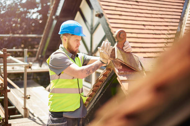 Best Flat Roof Repair Services  in Calumet Park, IL