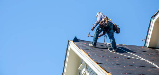 Best Residential Roofing Contractor  in Calumet Park, IL